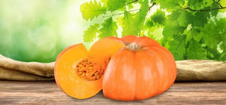 banner-calabazas-marisa-1280x599