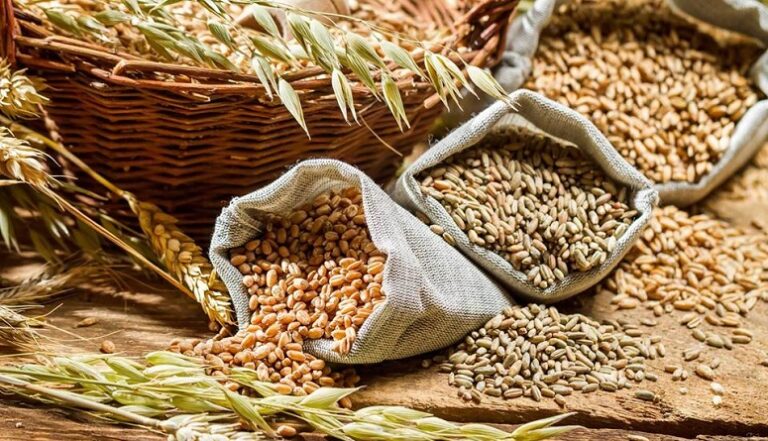 Las importaciones de cereales de la India crecieron 697% en el 2015