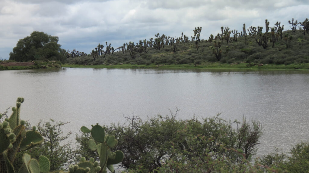 160609_paisajes_bioculturales_cucba_2