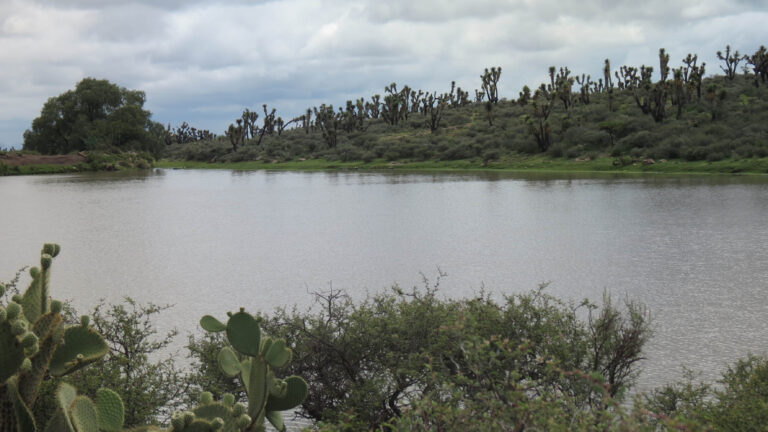 160609_paisajes_bioculturales_cucba_2