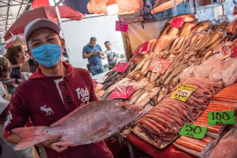 pescado-0ac3012057a3c25fbb9d8d50fe20ac01-1200x800