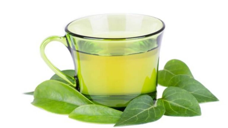 te-verde-fotolia-kiD--1240x698@abc-kFbB--1240x698@abc
