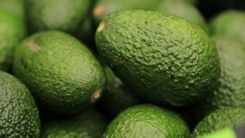 agroindustrias-jalisco