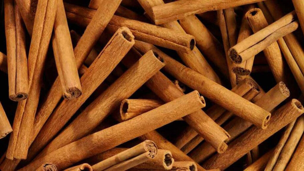canela-5bd18a7eded8c
