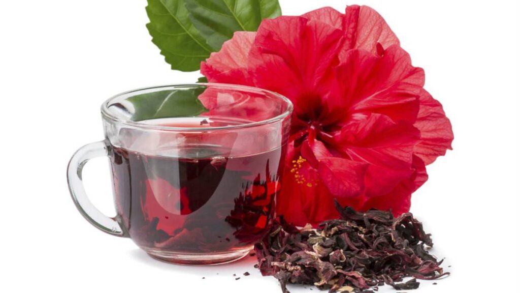 FLOR-DE-JAMAICA-2