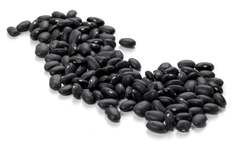 Frijol-negro-001-Larousse-Cocina