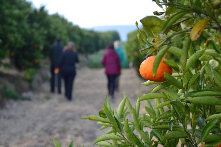 img_13000Diverfarming_2020_UPCT