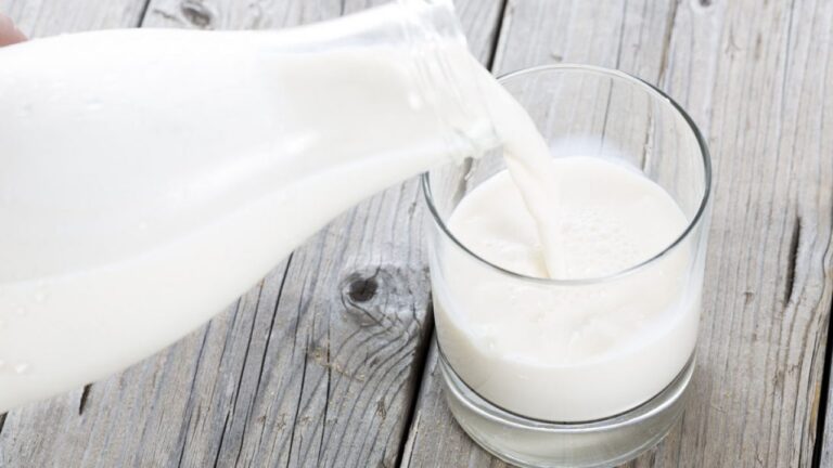 img_leche-cruda-mejor-hd-1280x720