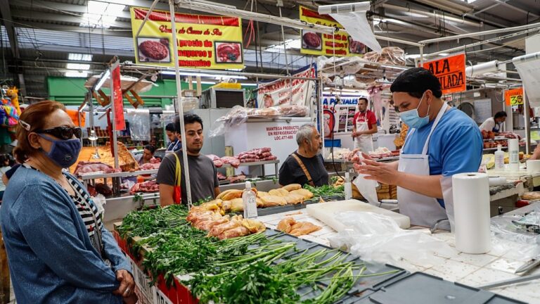 mercados-publicos-cdmx-1