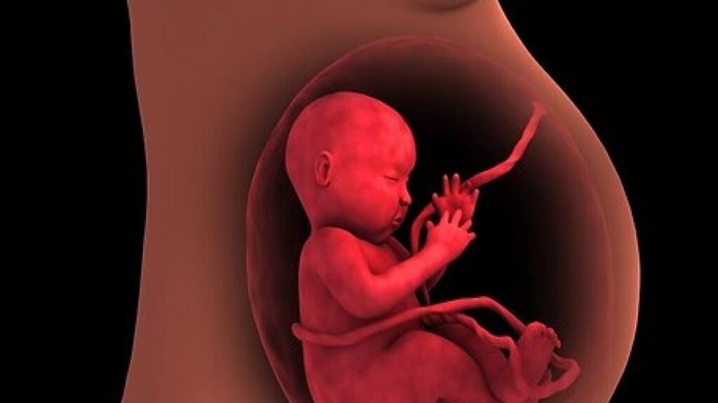 placenta-baja-o-previa