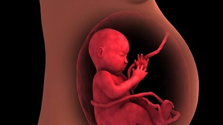 placenta-baja-o-previa