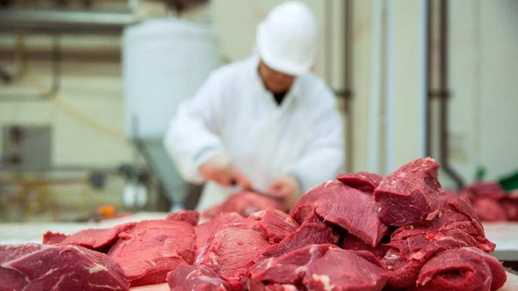 exportacion-de-carne-1280x720
