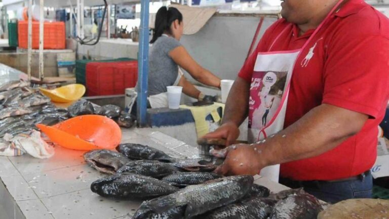 mariscos_villa-1200x675