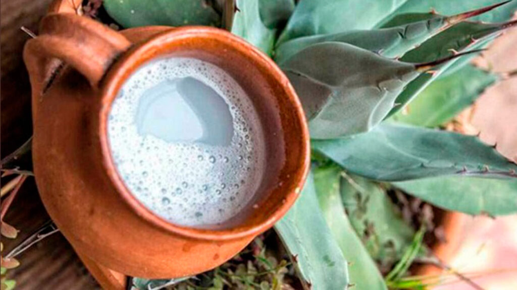 pulque