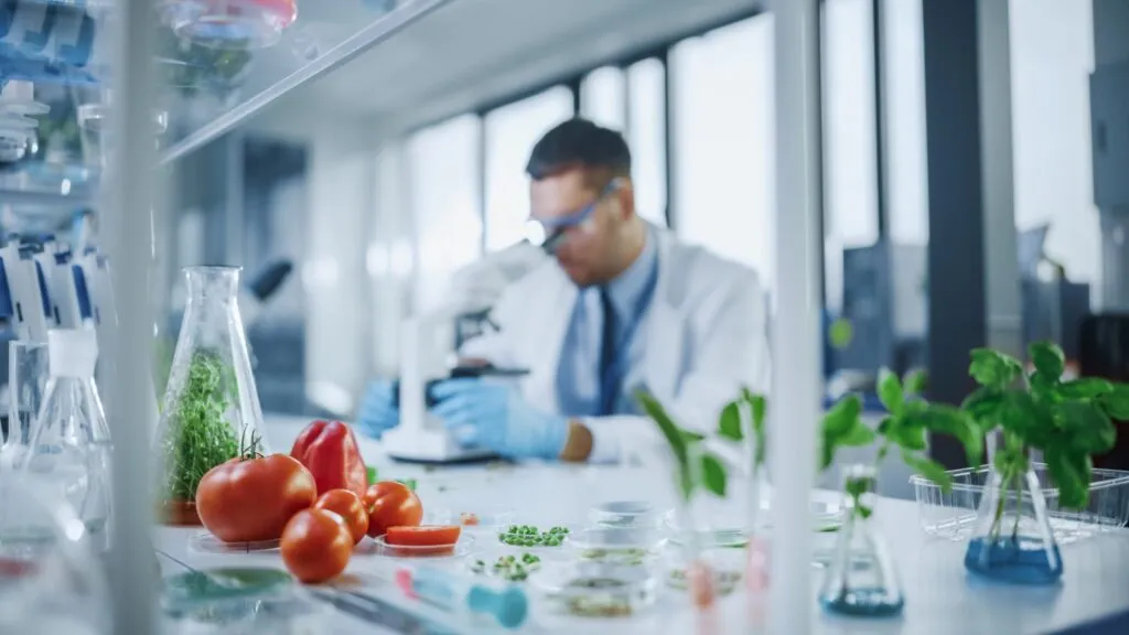 Científico analiza muestras vegetales y alimentos frescos en un laboratorio, utilizando microscopio y técnicas de biotecnología para el desarrollo de nutrición personalizada basada en datos ómicos.