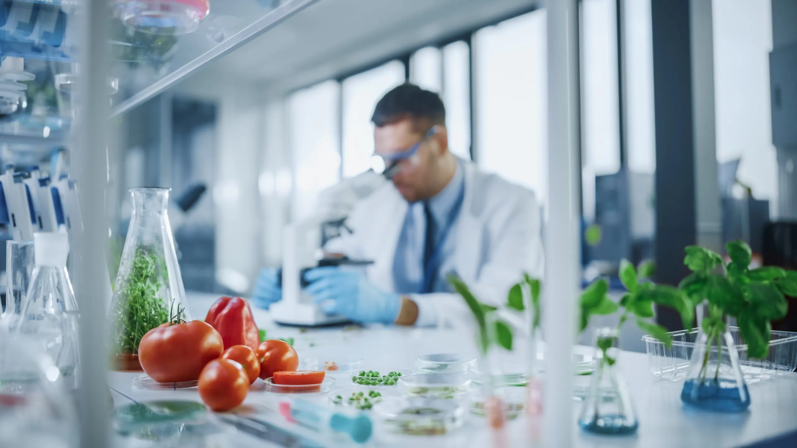 Científico analiza muestras vegetales y alimentos frescos en un laboratorio, utilizando microscopio y técnicas de biotecnología para el desarrollo de nutrición personalizada basada en datos ómicos.