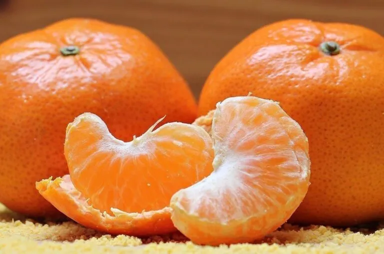 Mano sosteniendo una mandarina con albedo visible, ilustrando los beneficios del albedo en la nutrición