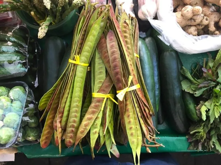 Fotografía de guaje fresco en mesa mexicana que muestra su valor nutritivo y antioxidante
