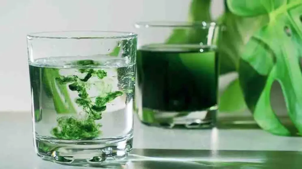 Vaso de clorofila líquida al lado de espinaca y brócoli como fuente natural y saludable de clorofila
