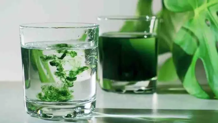 Vaso de clorofila líquida al lado de espinaca y brócoli como fuente natural y saludable de clorofila