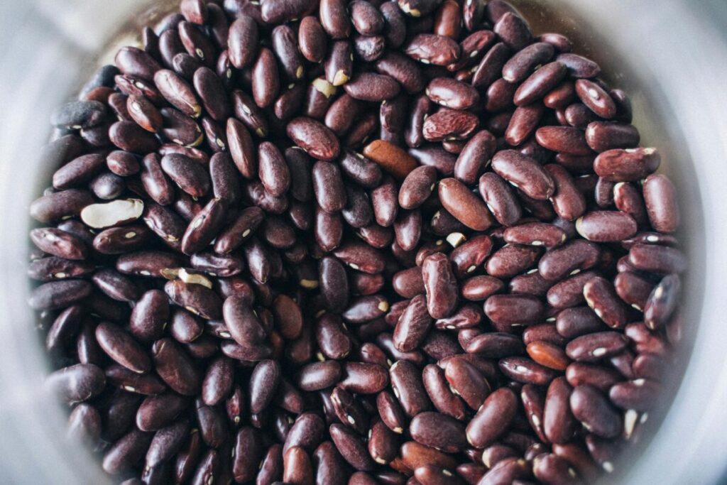 Frijoles saludables en la dieta que ayudan al corazón y al control de peso