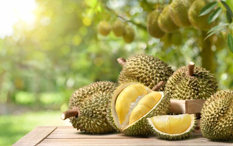 Beneficios del durián en la nutrición en Puerto Rico con importaciones crecientes en 2025