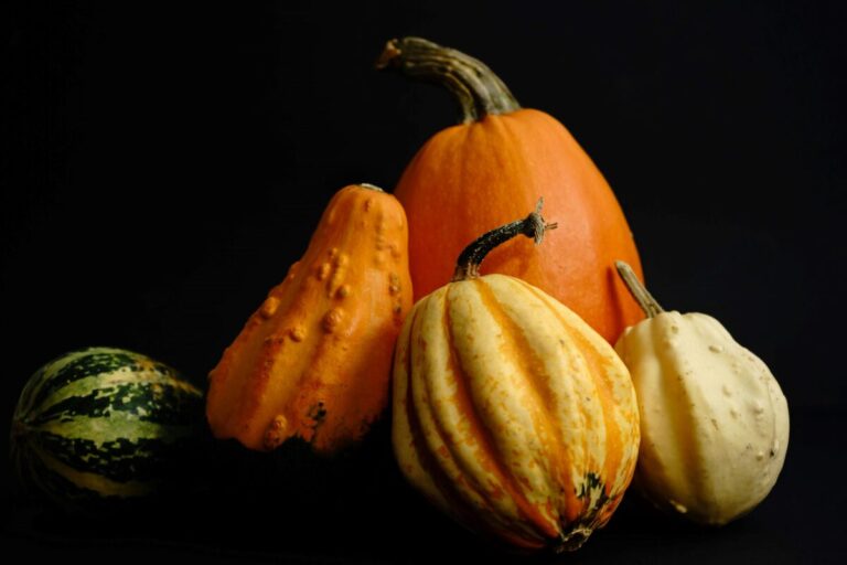 Hortaliza de calabaza rica en antioxidantes y vitamina A beneficiosa para la salud