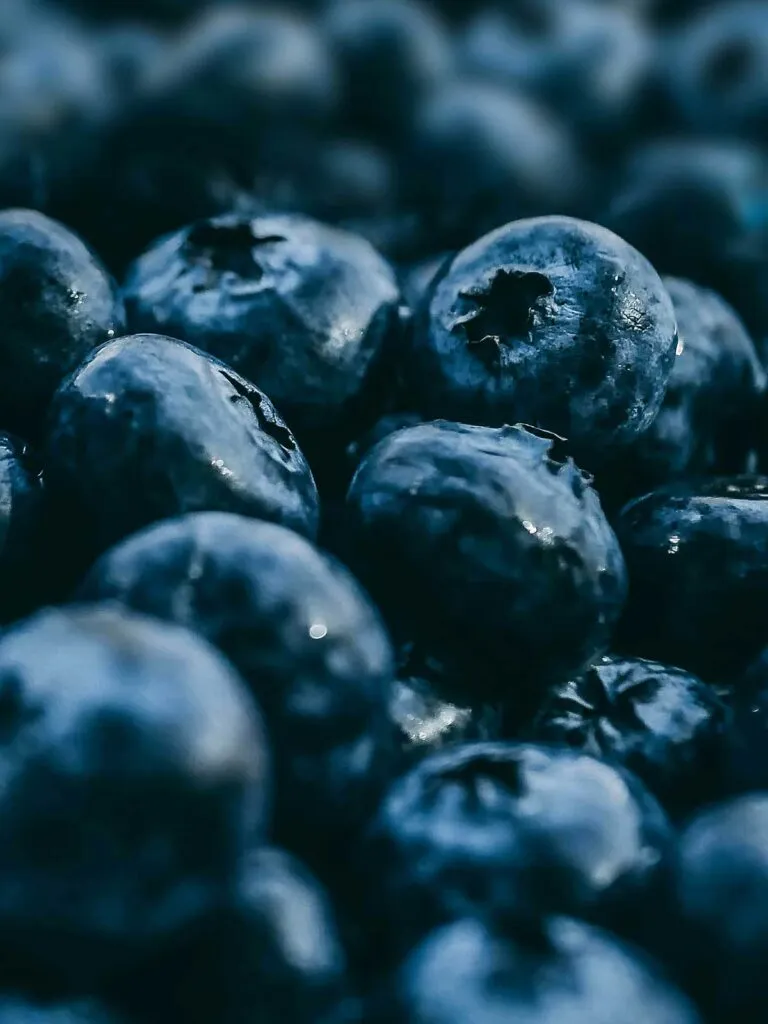 Arándanos en recipiente y frasco mostrando métodos para conservar arándanos