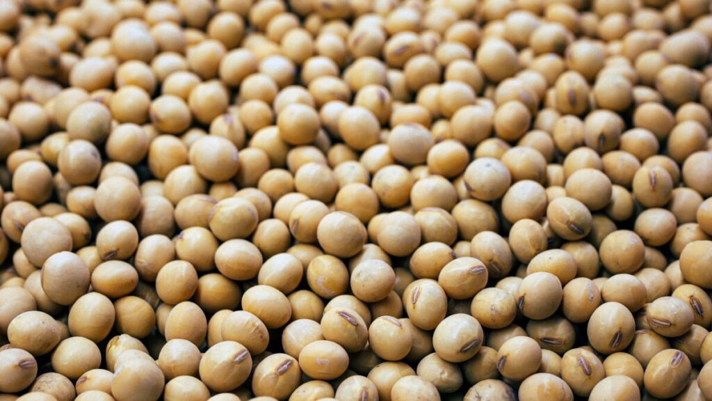 Vaso de bebida de soja con omega 3 que protege el corazón y mejora la salud cardiovascular