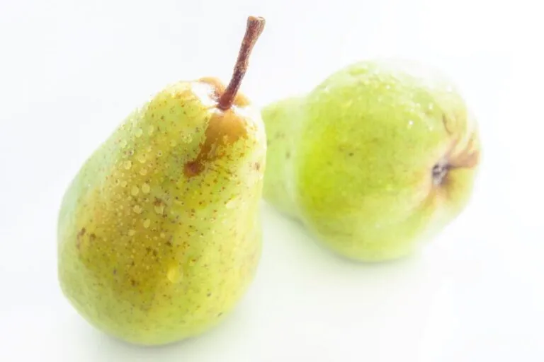 Peras frescas con alto contenido de fibra y antioxidantes para mejorar la digestión y salud del corazón