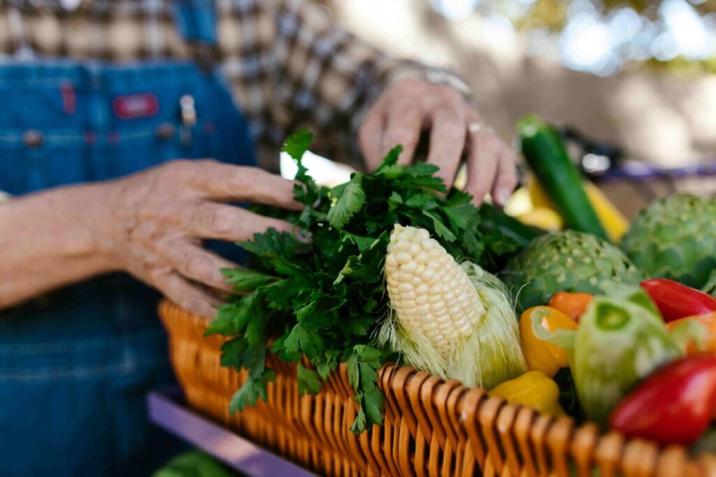 Ilustración de producción de alimentos con cultivos y personas seleccionando comida nutritiva en un mercado rural