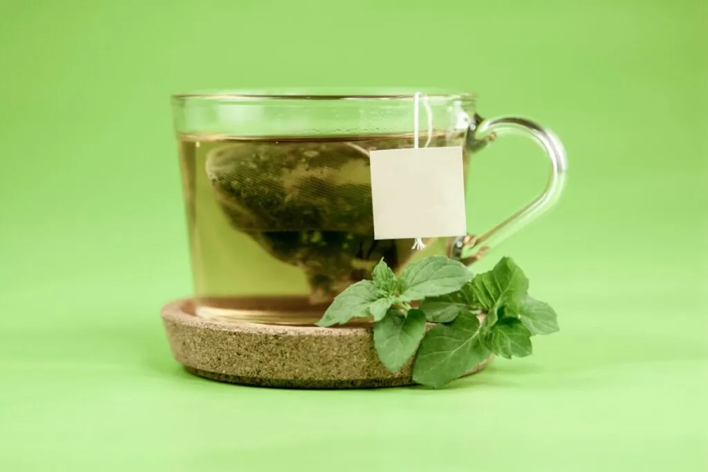 Té verde en taza de cerámica rodeada de ingredientes naturales que benefician el metabolismo y la microbiota intestinal