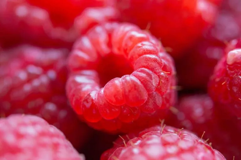 Frambuesas maduras en un plato que potencian el ácido elágico gracias a su consumo en forma natural