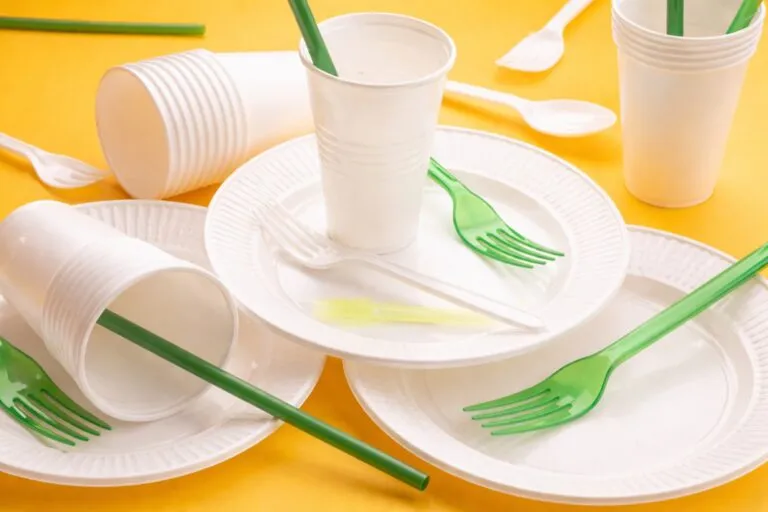 Cubiertos, platos y vasos desechables plásticos sobre fondo claro, vinculados al uso restringido por ley en Chile