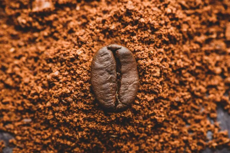 Granos de café y cacao junto a etiquetas nutricionales, ilustrando el contenido de metales pesados
