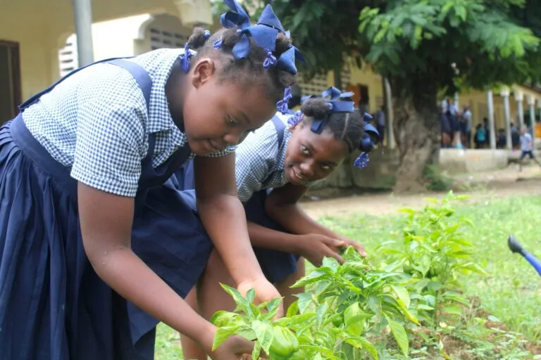 Educación nutricional infantil en Yaguajay con huerto escolar y actividades saludables apoyadas por UNICEF