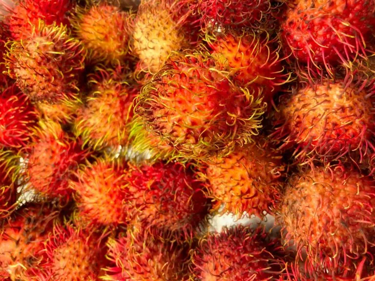 Platos de rambután fresco mostrando colores vibrantes y sugiriendo nutrición saludable