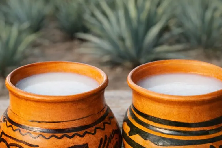 Vaso de pulque natural sobre mesa de madera, con maguey al fondo, resaltando los beneficios del pulque saludable