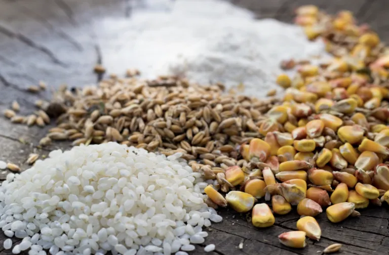 Alimentos ricos en cereales integrales como avena, arroz y trigo, incluidos en menús saludables promovidos por La Cosmopolitana.