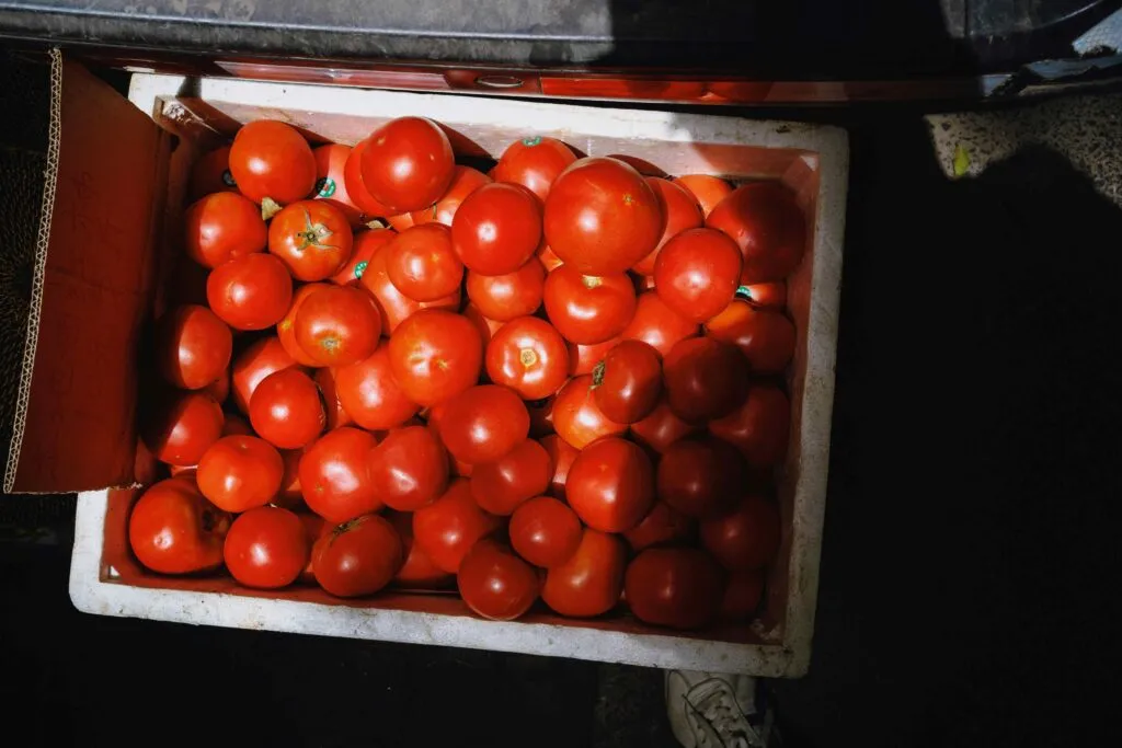 Diferencias en el precio de alimentos en La Paz afectan acceso a comida nutritiva en México