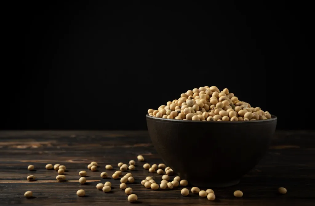 Platos modernos con proteínas vegetales y alternativas en tendencias de alimentación saludable, tal como lo plantea La Cosmopolitana.