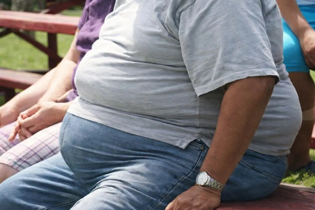 obesidad en México relacionada con comida rápida y sedentarismo en entorno urbano