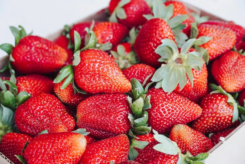 Exportación de fresas mexicanas y beneficios nutricionales en dieta saludable diaria