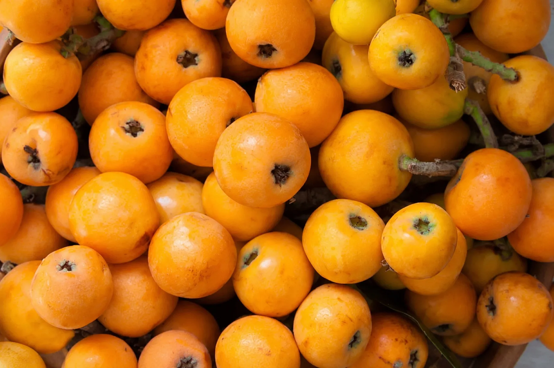 Beneficios del níspero con fibra, antioxidantes y potasio en fruta fresca de primavera