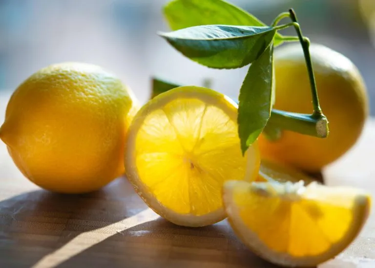 Guardar limones fuera del refrigerador para conservar frescura y limpieza en casa