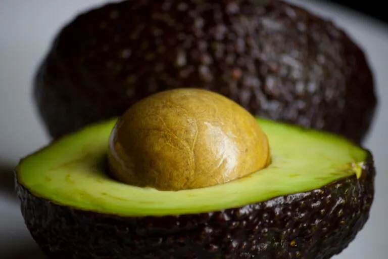 Aguacate más caro en México durante junio de 2026 y opciones para mantener una alimentación saludable