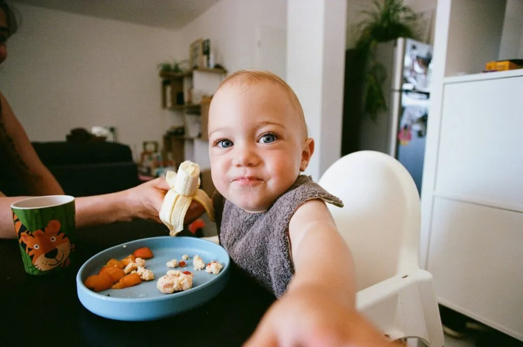 Nutrición infantil y hábitos saludables en la familia