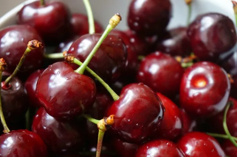 Cerezas en México de gran tamaño y color intenso con beneficios nutricionales para una alimentación saludable.