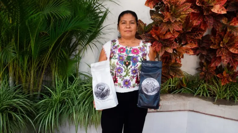 Mujeres cafetaleras elaboran café de Oaxaca de especialidad y desarrollan marcas propias en comunidades rurales.