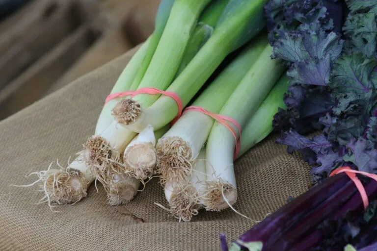 Verde del puerro convertido en aromatizante natural con sabor umami para reducir el desperdicio alimentario